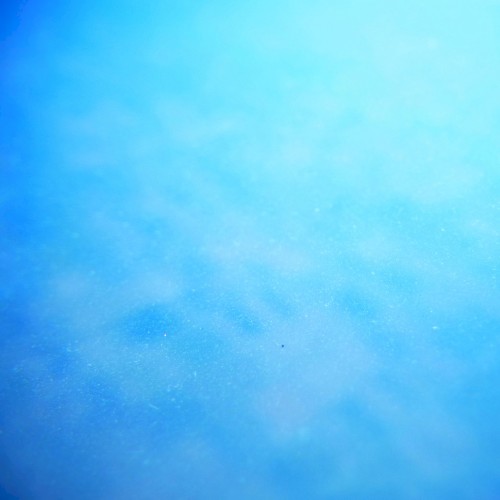 for Silentseeing
