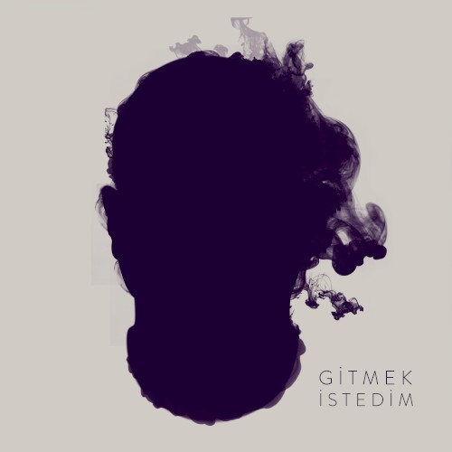 Gitmek İstedim
