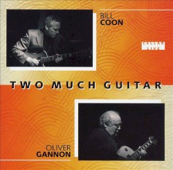 Two Much Guitar