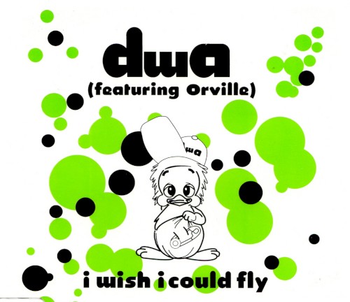 I Wish I Could Fly