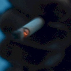 vs. Bunkerlungerer