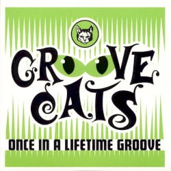 Once in a Lifetime Groove