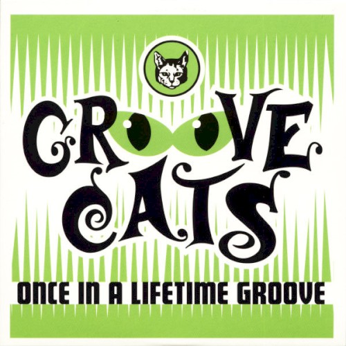 Once in a Lifetime Groove
