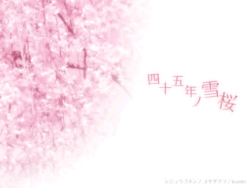 四十五年ノ雪桜