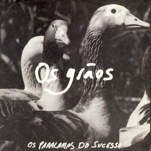 Os grãos