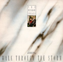 Walk Through The Storm