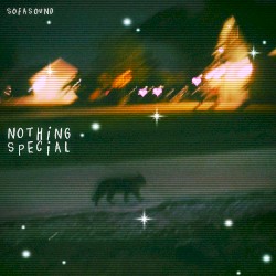 Nothing Special