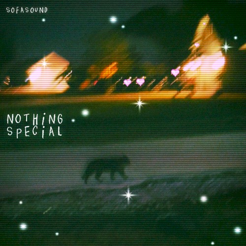 Nothing Special