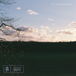 Mellow Evening