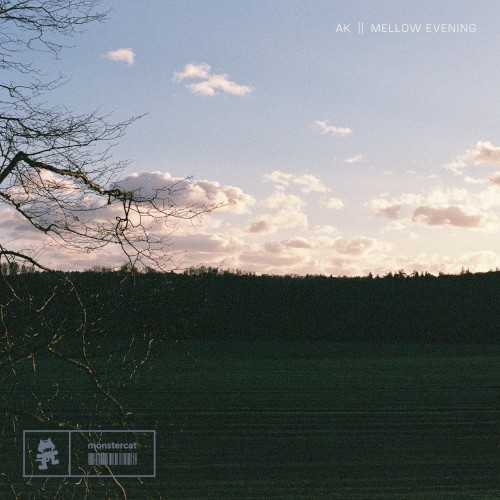 Mellow Evening
