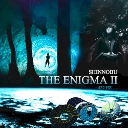 The Enigma II