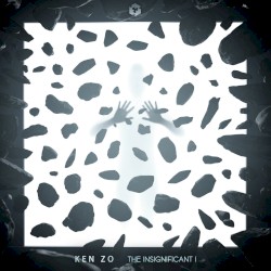 The Insignificant I