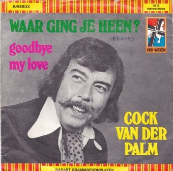 Waar ging jij heen? / Goodbye My Love