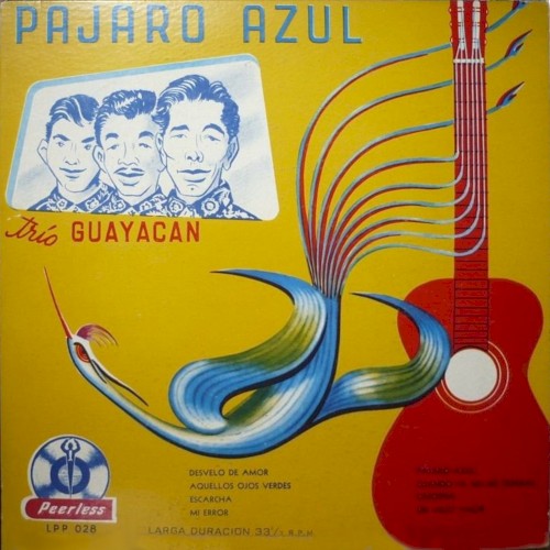 Pájaro azul