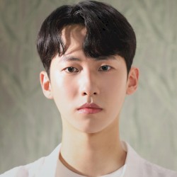 투명한 눈물 (2022)