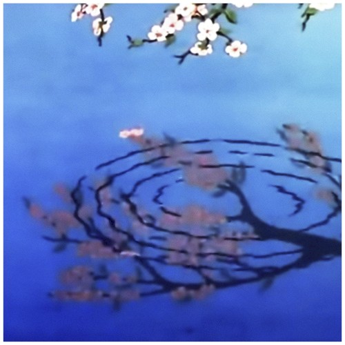 The Flower to Disappear