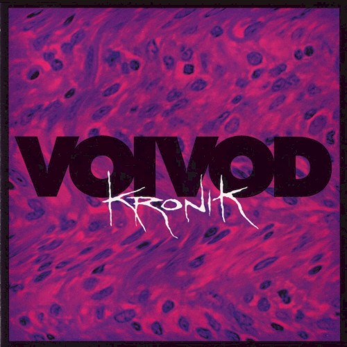 Kronik