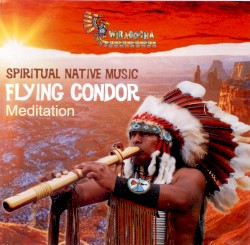 Flying Condor: Spiritual Native Music, Meditation Volume 1