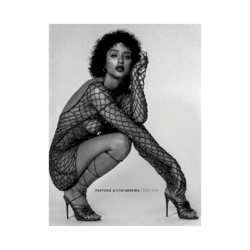 I Feel You (incl. Mudd Remixes)