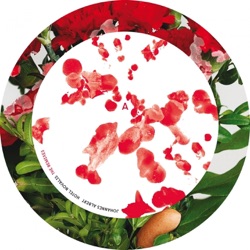 Hotel Novalis The Remixes