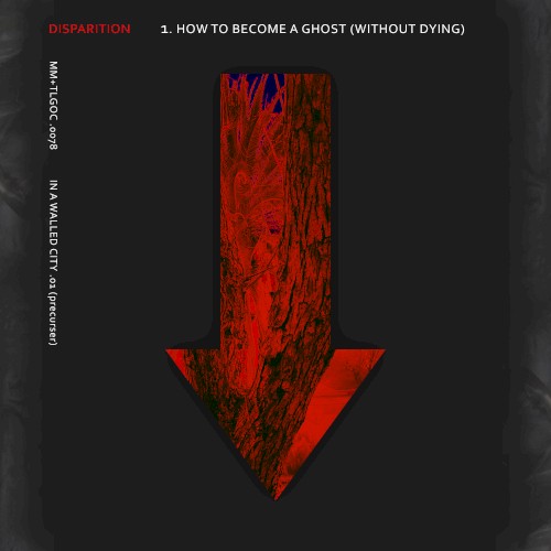 1 How to Become a Ghost (Without Dying)