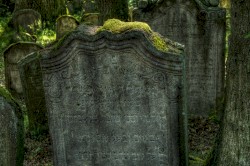 In This Hedonistic Society, Where Everything Precious and Shallow Alike Is Readily-Won-And-Readily-Lost, the Natural Habitat for Saints Is the Graveyard