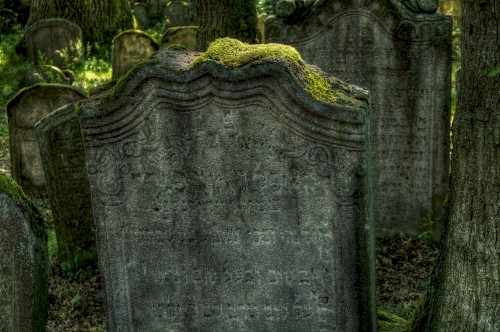 In This Hedonistic Society, Where Everything Precious and Shallow Alike Is Readily-Won-And-Readily-Lost, the Natural Habitat for Saints Is the Graveyard