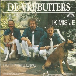 Ik mis je
