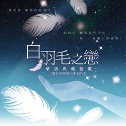 白羽毛之戀