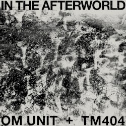 In the Afterworld