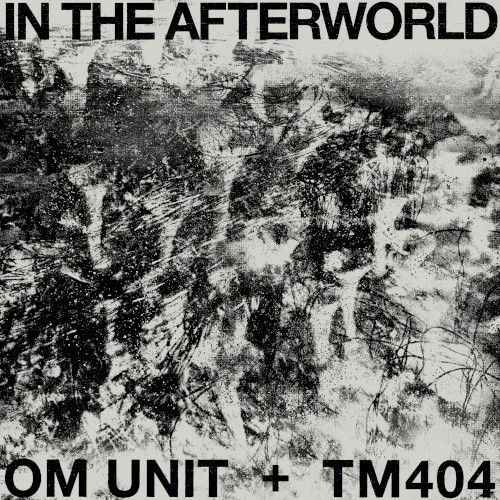 In the Afterworld