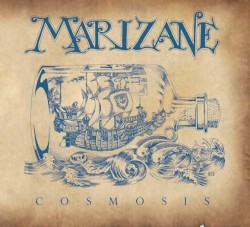 Cosmosis