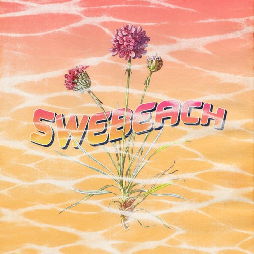 Swebeach