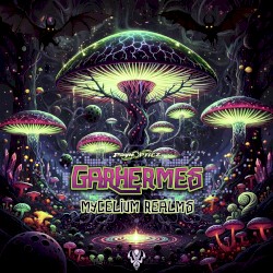 Mycelium Realms