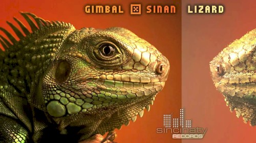 Lizard