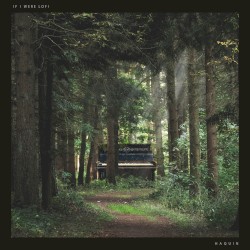 If I Were Lofi