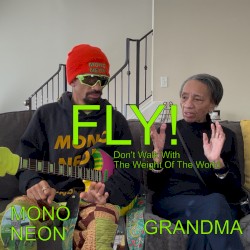Fly! (Don't Walk with the Weight of the World)