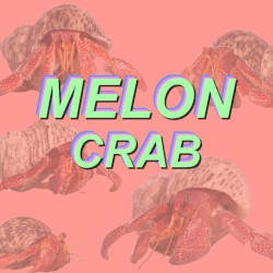 Crab