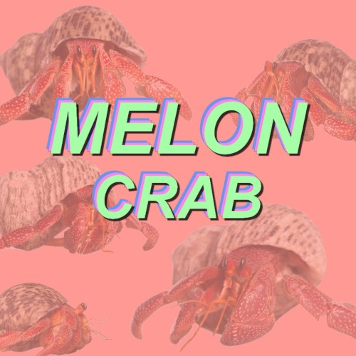 Crab