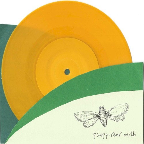 Rear Moth