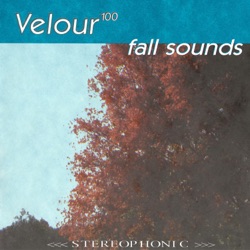 Fall Sounds