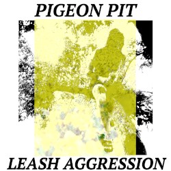 Leash Aggression