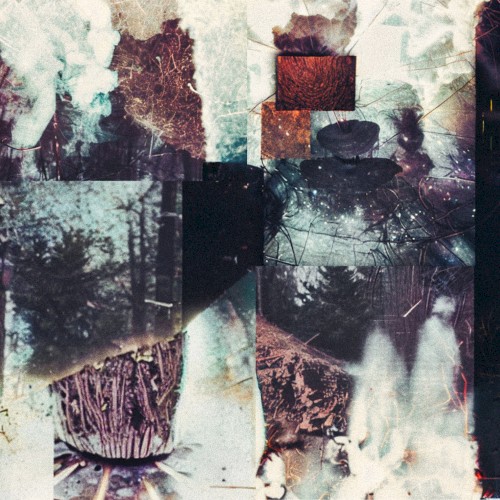 Decisions