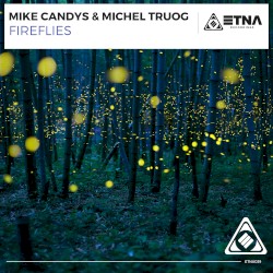 Fireflies
