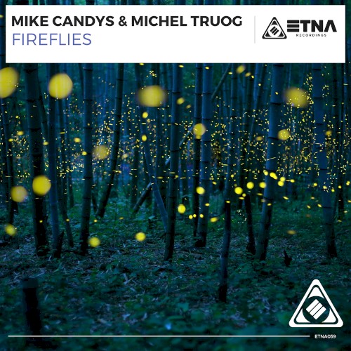 Fireflies