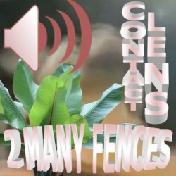 2 Many Fences