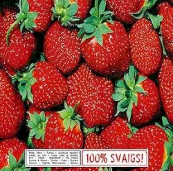 100% svaigs!