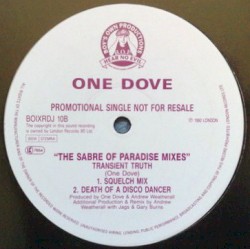 Transient Truth (The Sabres Of Paradise Mixes)