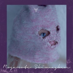 Rosarote Skimasken (gspnst Remix)
