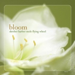Bloom